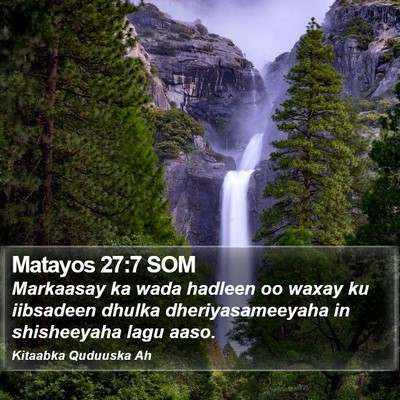 Matayos 27:7 SOM Bible Verse Image