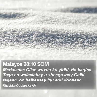Matayos 28:10 SOM Bible Verse Image