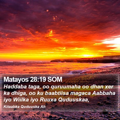 Matayos 28:19 SOM Bible Verse Image
