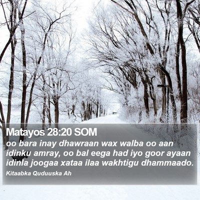 Matayos 28:20 SOM Bible Verse Image