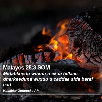 Matayos 28:3 SOM Bible Verse Image