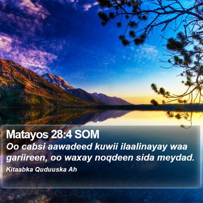 Matayos 28:4 SOM Bible Verse Image