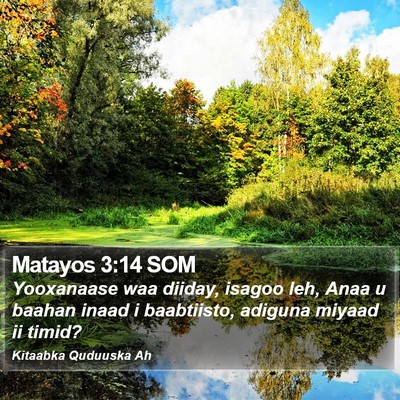 Matayos 3:14 SOM Bible Verse Image