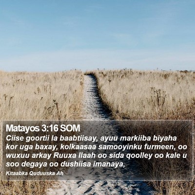 Matayos 3:16 SOM Bible Verse Image