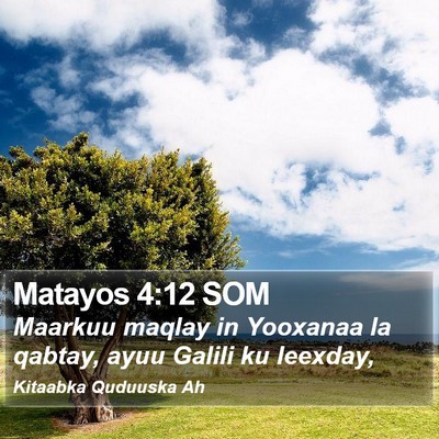 Matayos 4:12 SOM Bible Verse Image