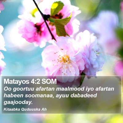 Matayos 4:2 SOM Bible Verse Image