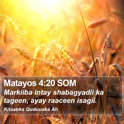Matayos 4:20 SOM Bible Verse Image