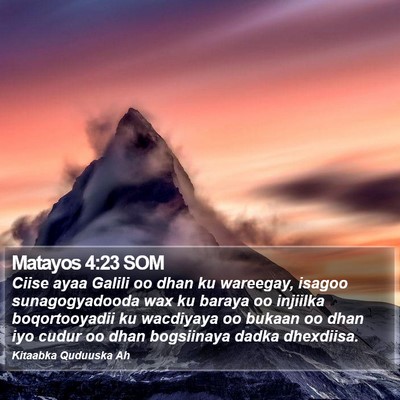 Matayos 4:23 SOM Bible Verse Image
