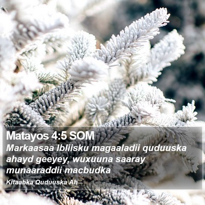 Matayos 4:5 SOM Bible Verse Image
