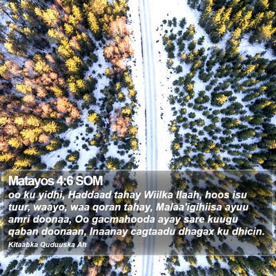 Matayos 4:6 SOM Bible Verse Image