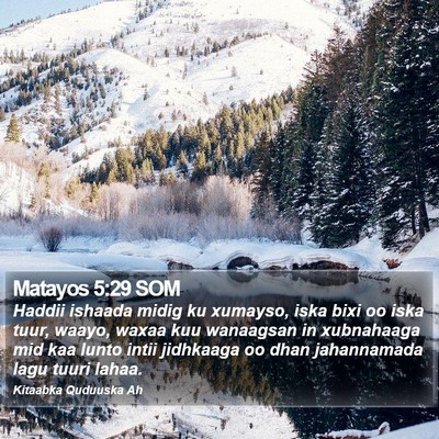 Matayos 5:29 SOM Bible Verse Image