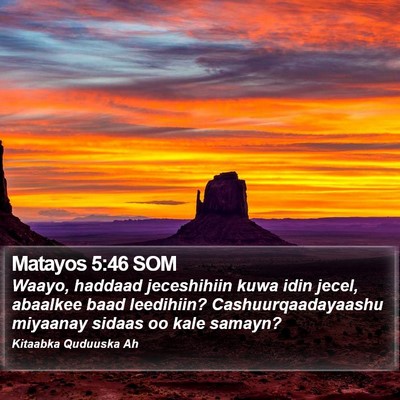 Matayos 5:46 SOM Bible Verse Image