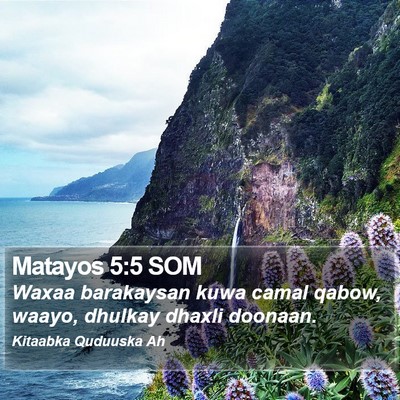 Matayos 5:5 SOM Bible Verse Image