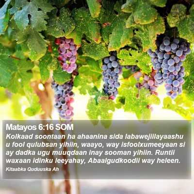 Matayos 6:16 SOM Bible Verse Image