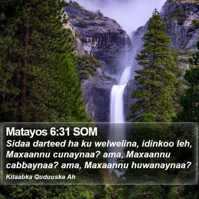 Matayos 6:31 SOM Bible Verse Image
