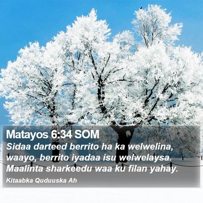 Matayos 6:34 SOM Bible Verse Image