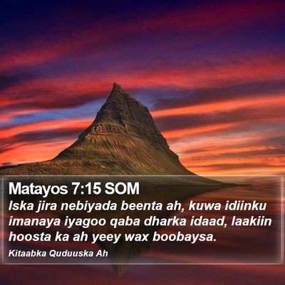 Matayos 7:15 SOM Bible Verse Image