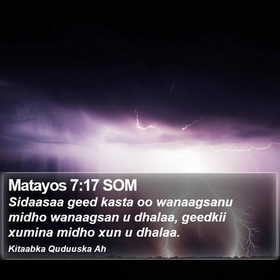Matayos 7:17 SOM Bible Verse Image
