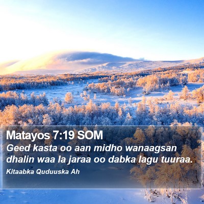 Matayos 7:19 SOM Bible Verse Image