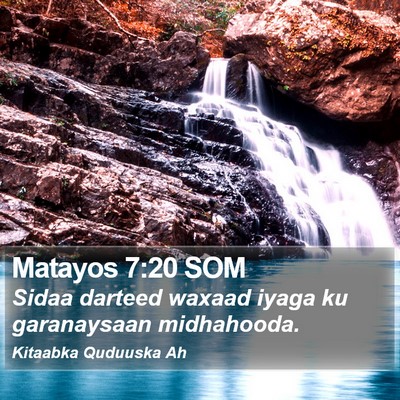 Matayos 7:20 SOM Bible Verse Image
