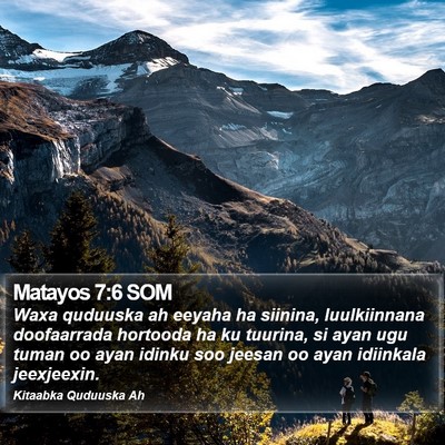 Matayos 7:6 SOM Bible Verse Image
