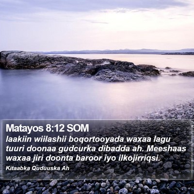 Matayos 8:12 SOM Bible Verse Image