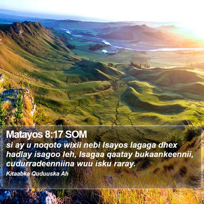 Matayos 8:17 SOM Bible Verse Image