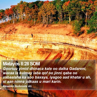 Matayos 8:28 SOM Bible Verse Image