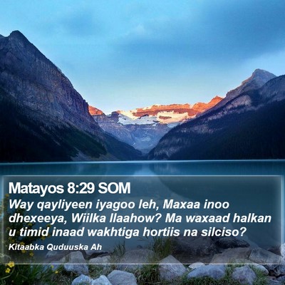 Matayos 8:29 SOM Bible Verse Image