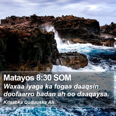 Matayos 8:30 SOM Bible Verse Image