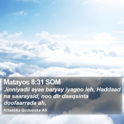 Matayos 8:31 SOM Bible Verse Image