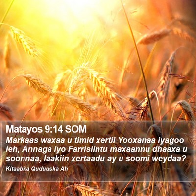 Matayos 9:14 SOM Bible Verse Image