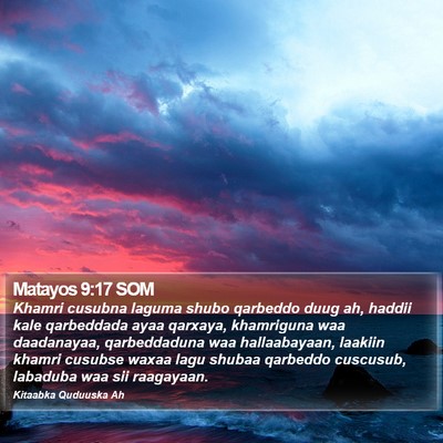 Matayos 9:17 SOM Bible Verse Image