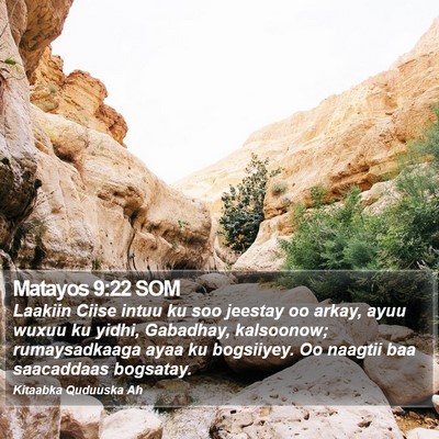Matayos 9:22 SOM Bible Verse Image