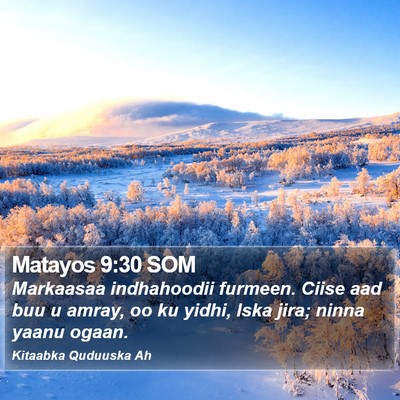 Matayos 9:30 SOM Bible Verse Image