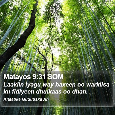Matayos 9:31 SOM Bible Verse Image