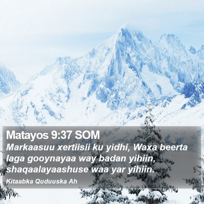 Matayos 9:37 SOM Bible Verse Image