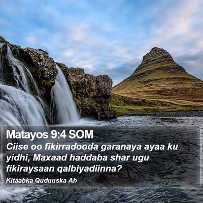 Matayos 9:4 SOM Bible Verse Image