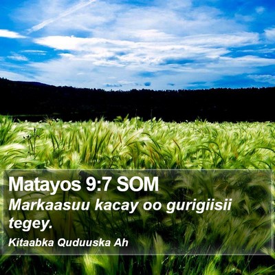 Matayos 9:7 SOM Bible Verse Image