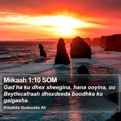 Miikaah 1:10 SOM Bible Verse Image