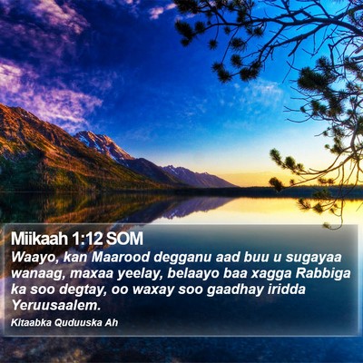 Miikaah 1:12 SOM Bible Verse Image