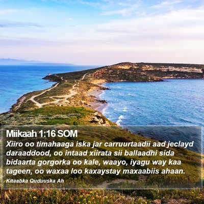 Miikaah 1:16 SOM Bible Verse Image