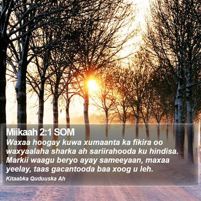 Miikaah 2:1 SOM Bible Verse Image
