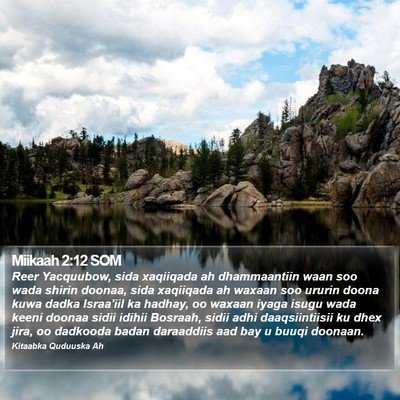 Miikaah 2:12 SOM Bible Verse Image