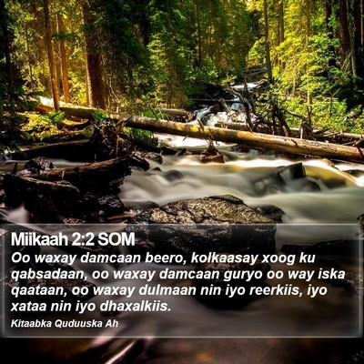 Miikaah 2:2 SOM Bible Verse Image