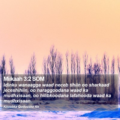 Miikaah 3:2 SOM Bible Verse Image