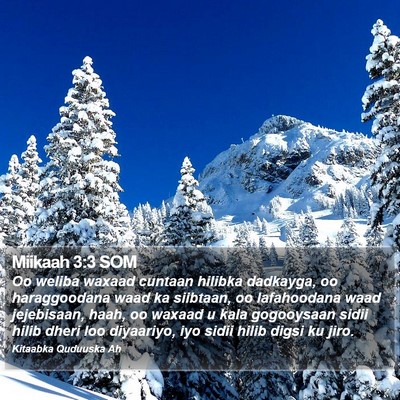 Miikaah 3:3 SOM Bible Verse Image