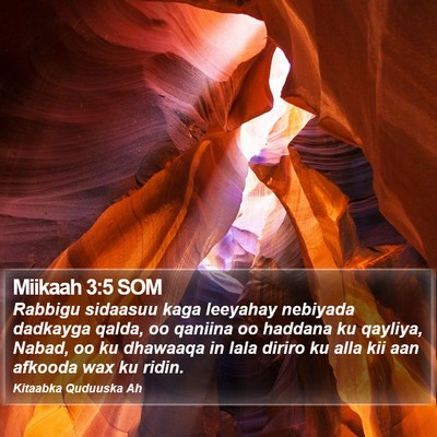 Miikaah 3:5 SOM Bible Verse Image