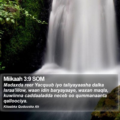 Miikaah 3:9 SOM Bible Verse Image