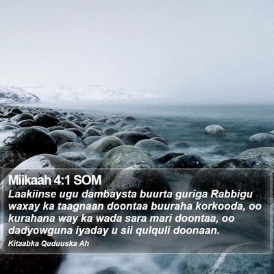 Miikaah 4:1 SOM Bible Verse Image